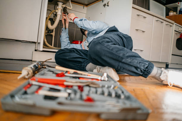 Best Clogged Drain Plumber  in Elk Ridge, UT